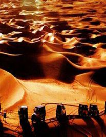 阿拉善盟婚姻律師照片