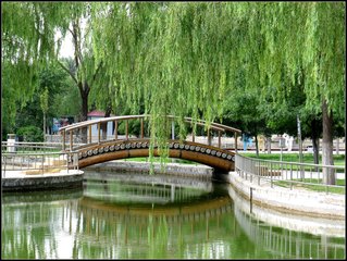 包頭婚姻律師照片