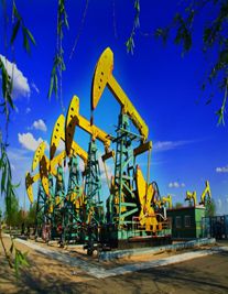 大慶婚姻律師照片