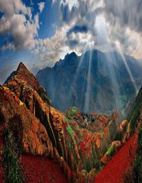 普洱婚姻律師照片