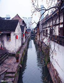 紹興婚姻律師照片