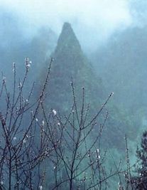 仙桃婚姻律師照片